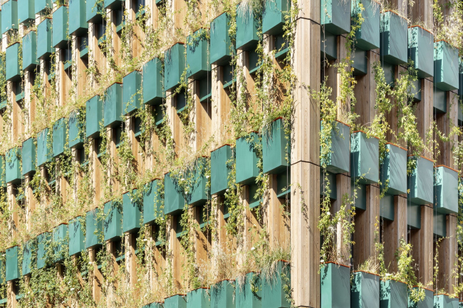 ����� �������� Edison Lite