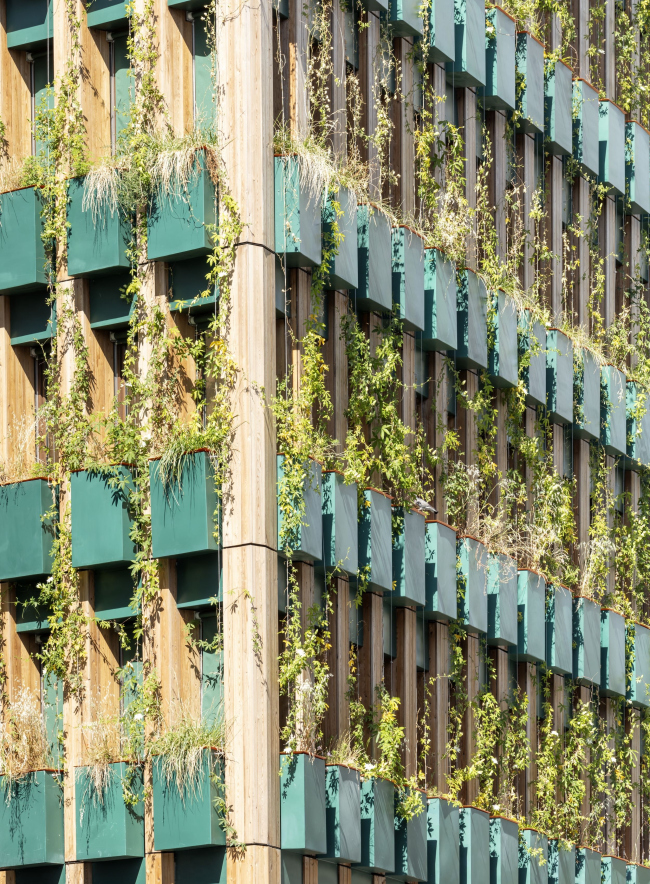 ����� �������� Edison Lite