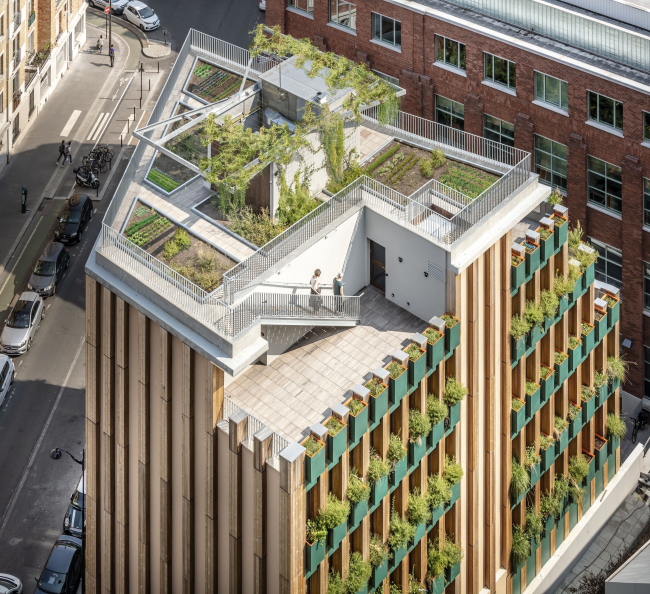 ����� �������� Edison Lite