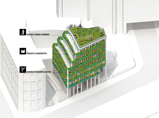 ����� �������� Edison Lite