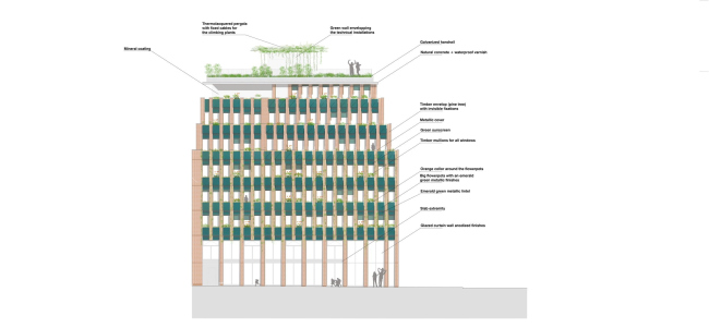 ����� �������� Edison Lite