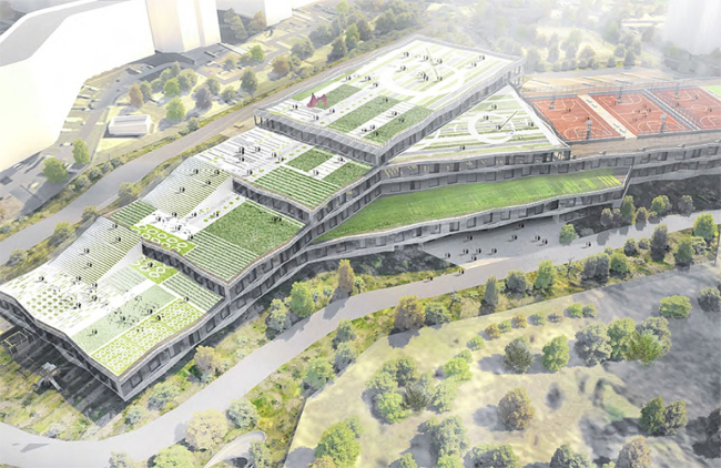 ������������������� �������� ������ 800�, ������  ��������