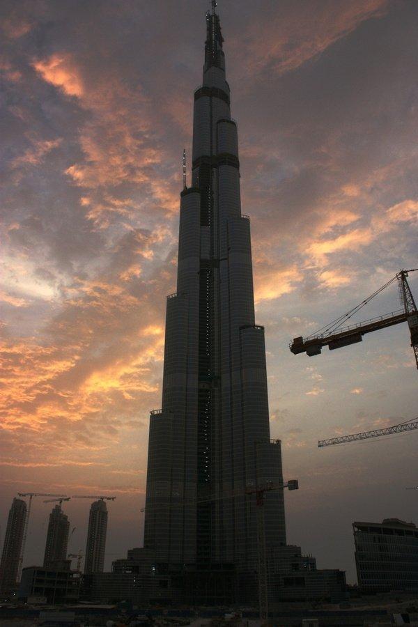 ����� �����. ���� ���� 2008