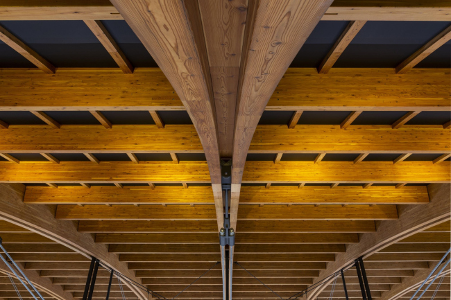 ����� ���������� ������