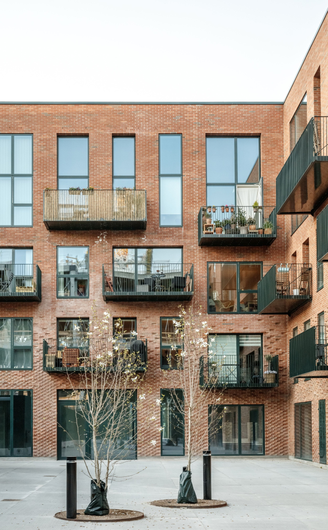 �������� Theodora House