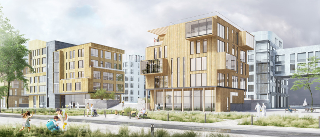 ���� ����������