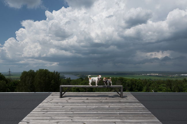 ����� ���������. ����������� ��� � ������� ����