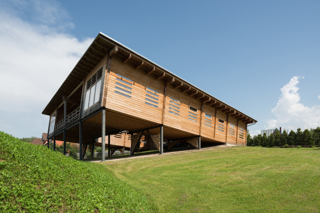 ����� ���������. ����������� ��� � ������� ����