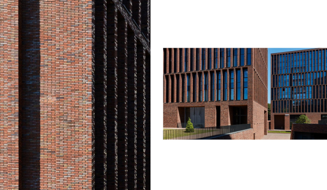 ����� �������� ������� 