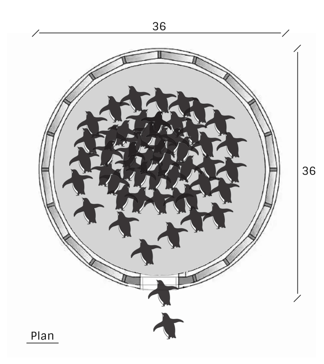 ������� ������ ������������� ���������