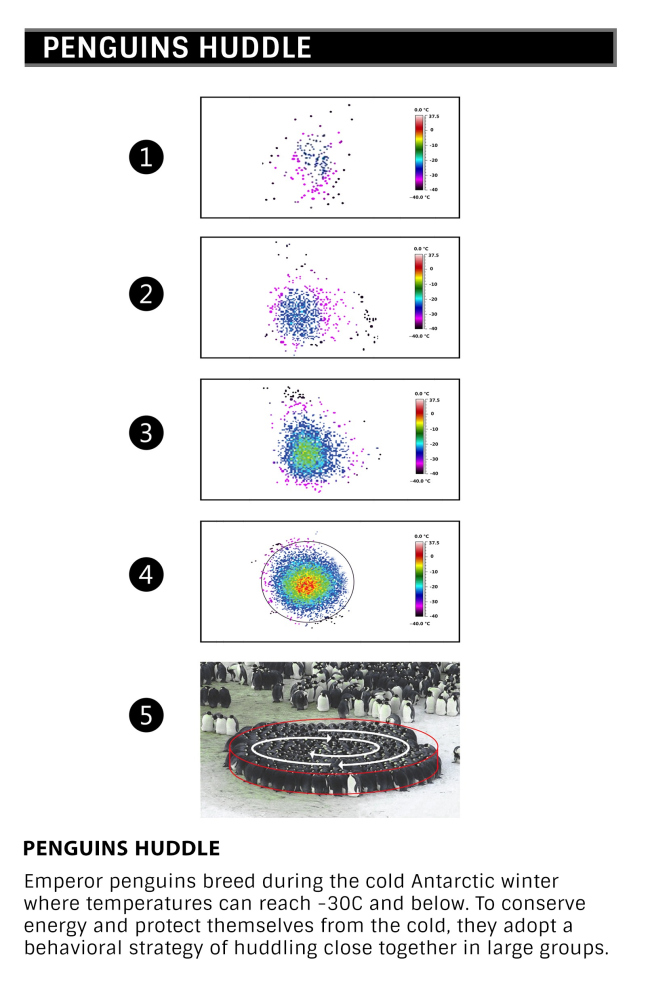 ������� ������ ������������� ���������