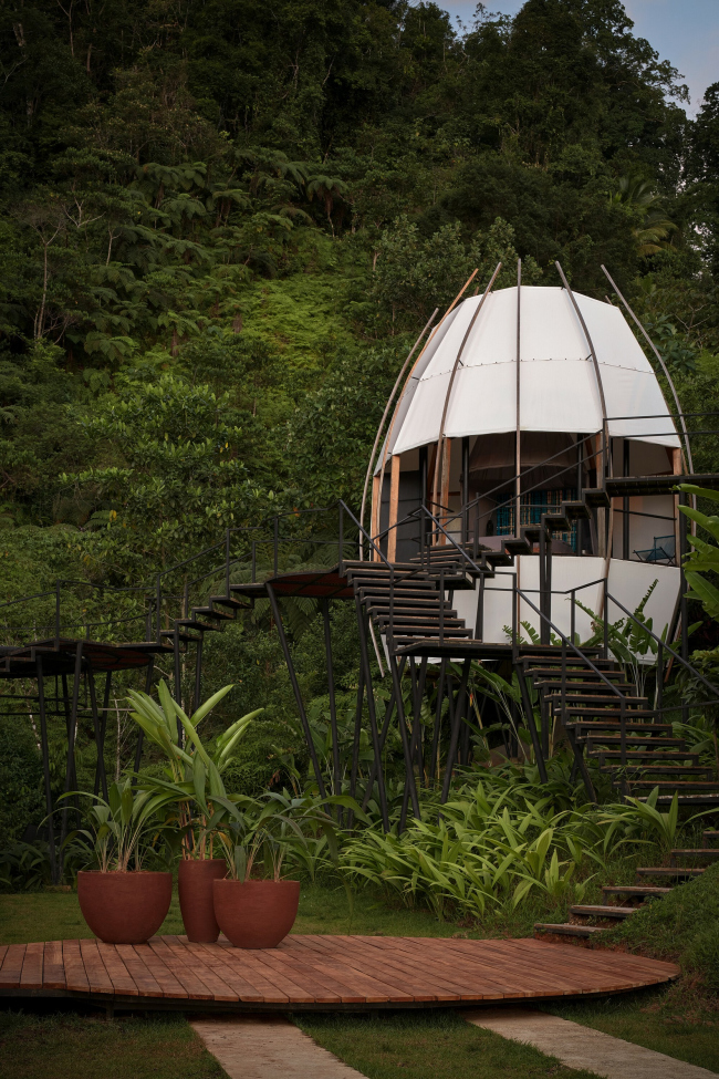 ������ CoCo ��� ����� Art Villas