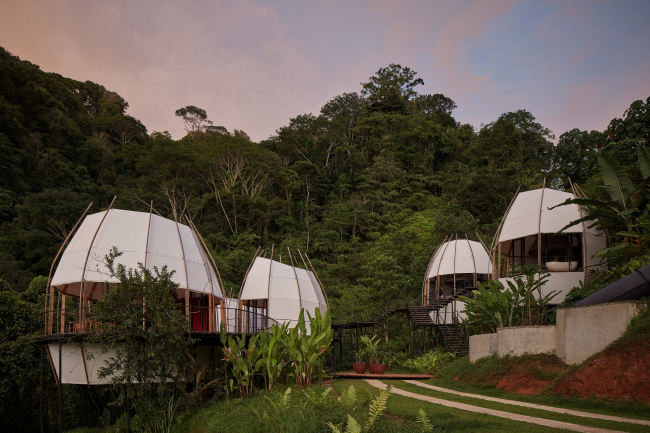 ������ CoCo ��� ����� Art Villas
