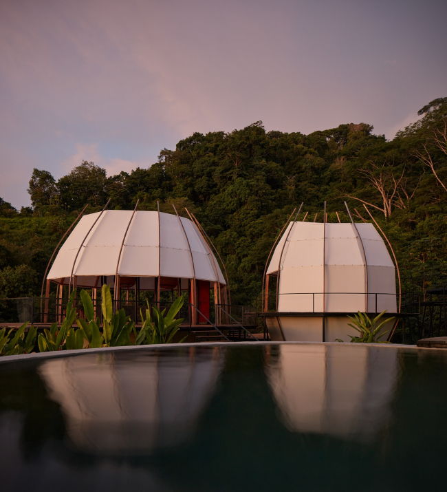 ������ CoCo ��� ����� Art Villas
