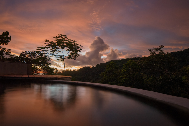 ������ CoCo ��� ����� Art Villas