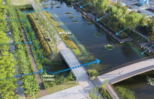 ���� �������