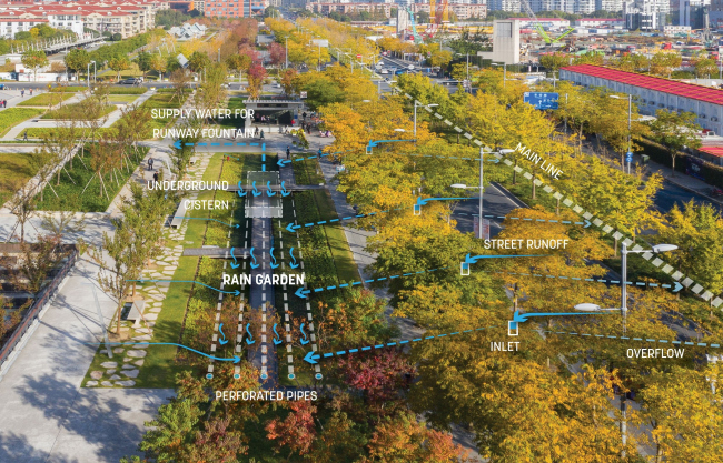 ���� �������