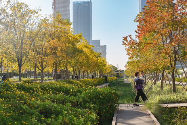 ���� �������