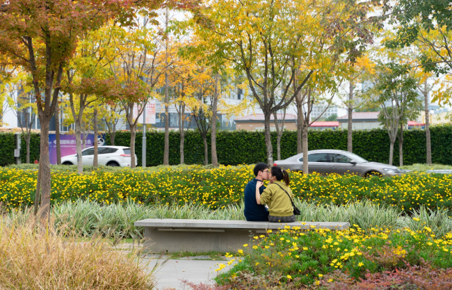 ���� �������