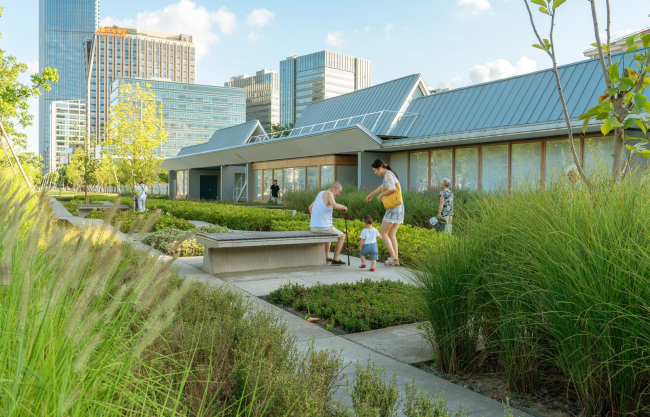 ���� �������