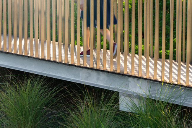 ���� �������