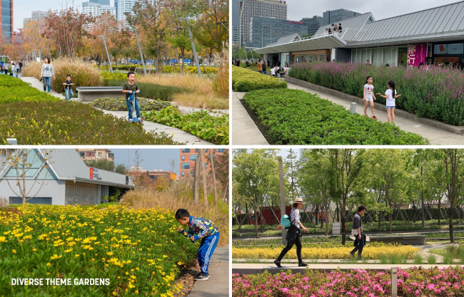 ���� �������