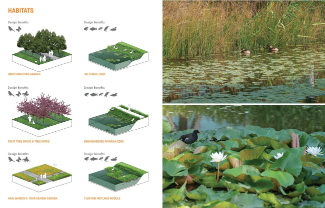 ���� �������