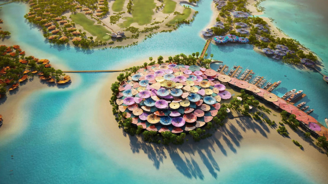 ������ Coral Bloom