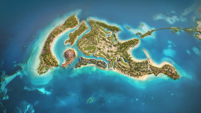 ������ Coral Bloom