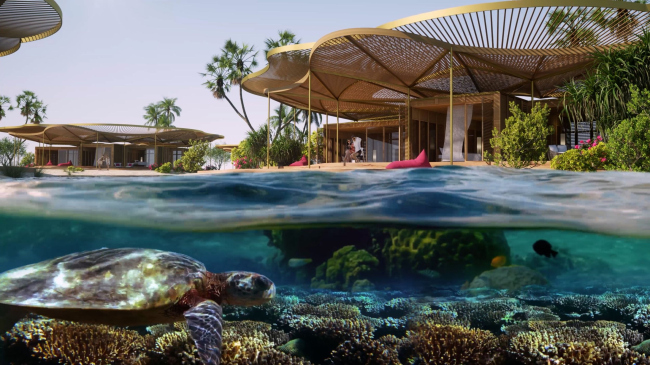 ������ Coral Bloom