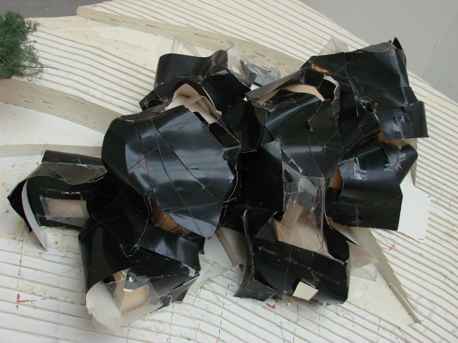 ����� ������ ����