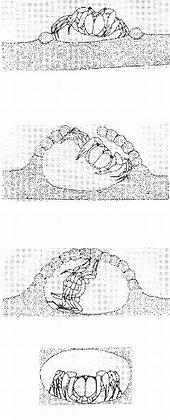 ���� �������� � ������ ��������� ��� ������