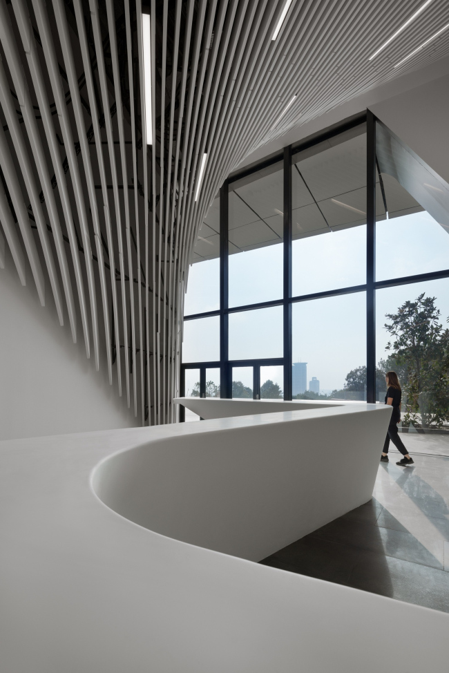 �������������� �����-�������� � ��������