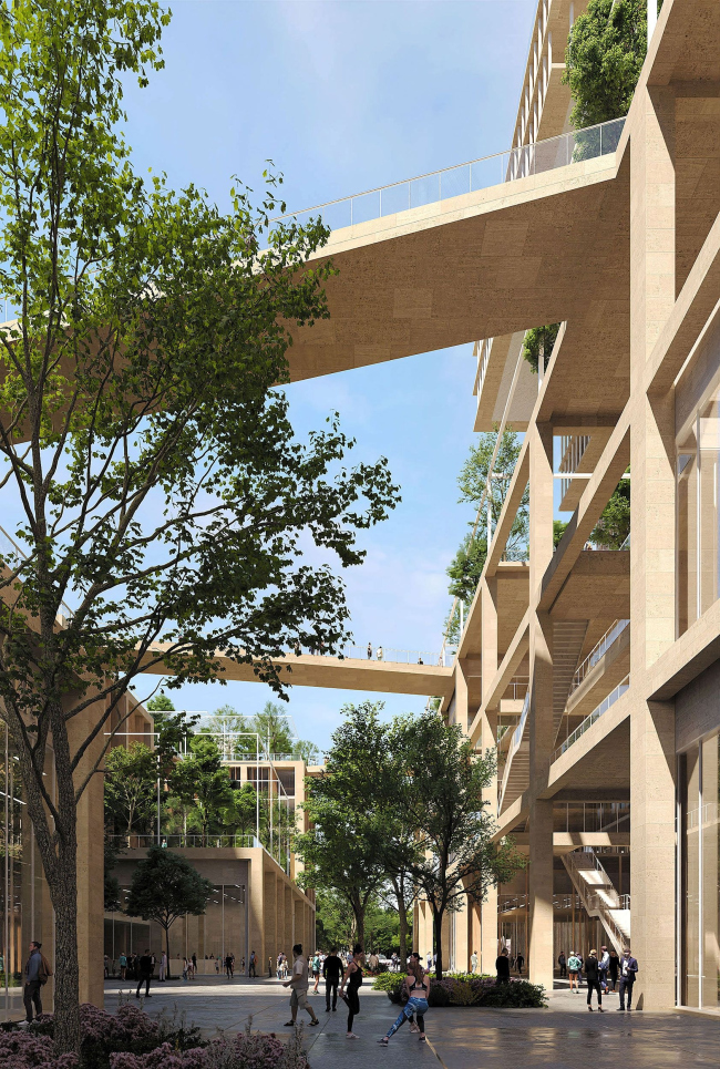 �������� ������������� ������� �������