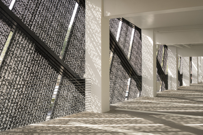 ������ ������������� �������� �� ���������� ����-�������� Nike, ��������