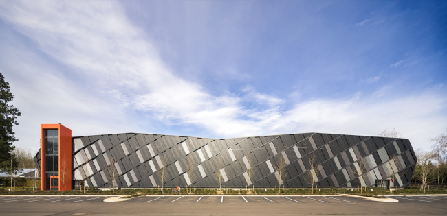 ������ ������������� �������� �� ���������� ����-�������� Nike, ��������