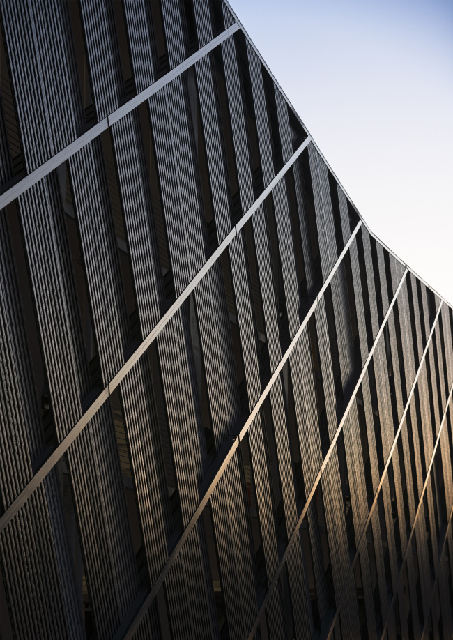 ������ ������������� �������� �� ���������� ����-�������� Nike, ��������