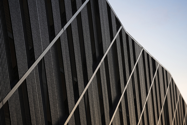 ������ ������������� �������� �� ���������� ����-�������� Nike, ��������