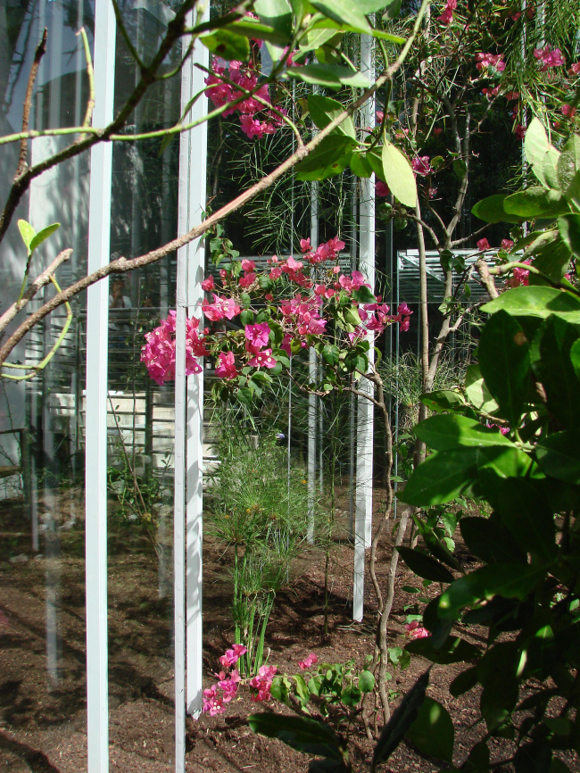 ����� ������ ��������� ������