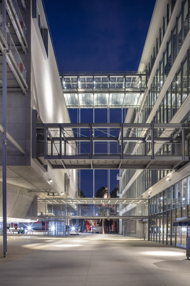 ����� ���� �������� ������������������� �������� � ����