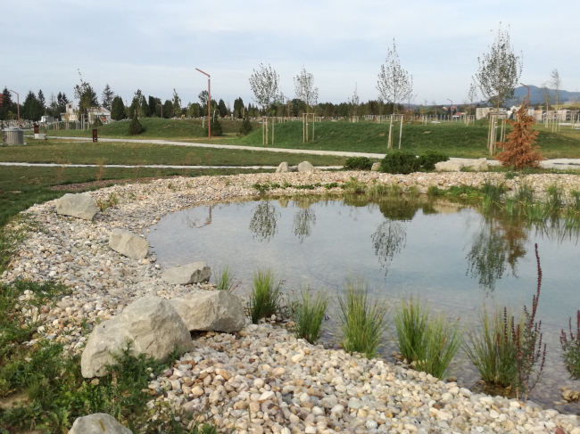 �������� ������ ������ � ������ �����