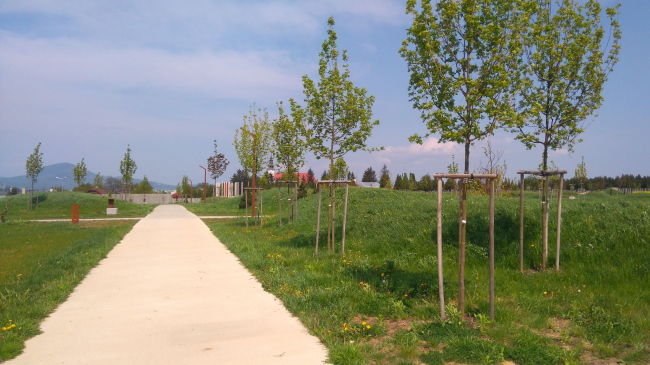 �������� ������ ������ � ������ �����