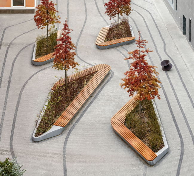 ���� ����������������