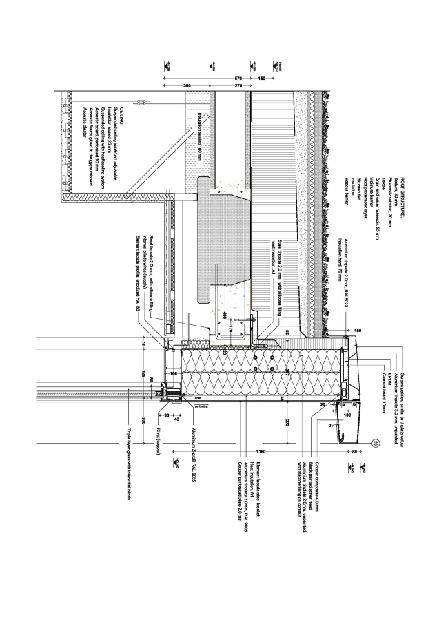 ����-�������� Carlsberg Group