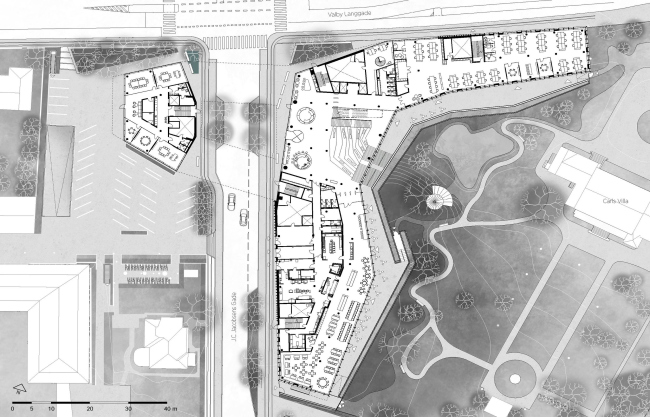 ����-�������� Carlsberg Group