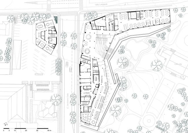 ����-�������� Carlsberg Group