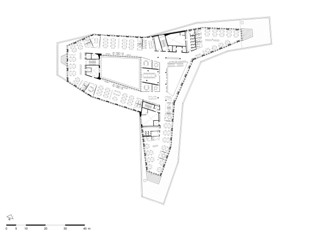 ����-�������� Carlsberg Group