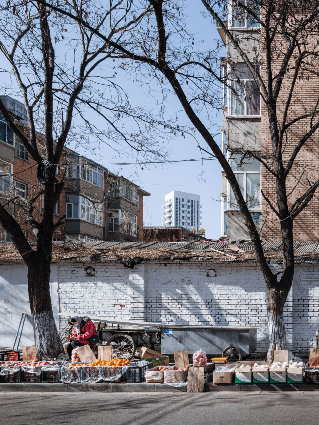 ����� �������� Y-Loft City