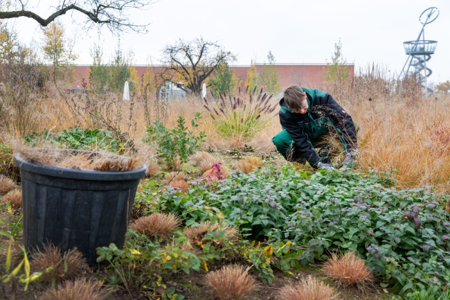 ��� ���� ������� �� ������� Vitra