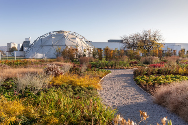 ��� ���� ������� �� ������� Vitra